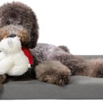 MIZZMIZZ Orthopedic Dog Bed, Large, Memory Foam with Double Waterproof Washable Cover, Non-Slip Base (Slate,Large)