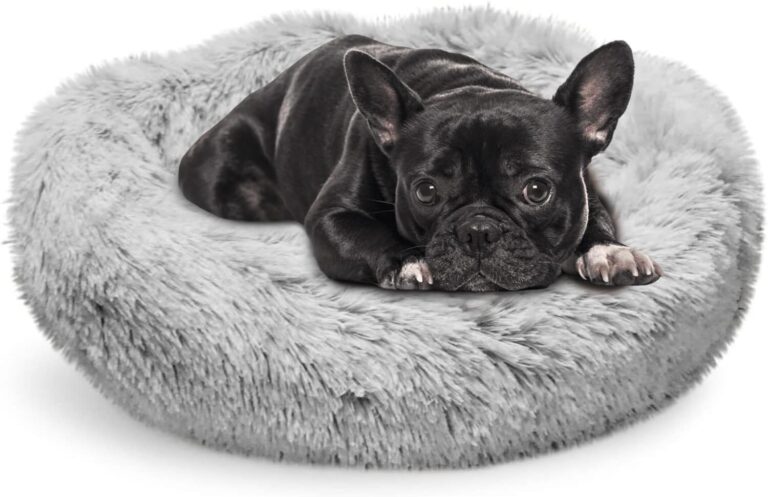 Whiskers & Friends Cat Bed Dog, Cat Beds for Indoor Cats Washable, Orthopedic Soft Fluffy Round Calming Pet Bed for Small to Large Kitty Kittens & Dogs, Small Dog Beds & Furniture
