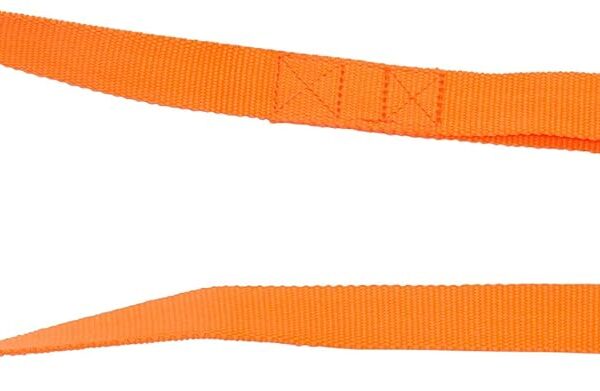 Avery Sporting Dog Standard Leash  Durable Hunting & Training Dog Leash for Control & Obedience (Blaze Orange)