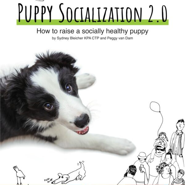 Puppy Socialization 2.0: How to raise a socially healthy puppy
