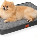 Cozy Dog Beds for Small Dogs - Orthopedic Egg Crate Foam Pet Bed with Removable/Washable/Waterproof Cover & Non-Slip Bottom, Ideal for Crate and Indoor Use, 23x17 Inch, up to 15 lbs, Dark Grey