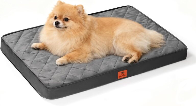 Cozy Dog Beds for Small Dogs - Orthopedic Egg Crate Foam Pet Bed with Removable/Washable/Waterproof Cover & Non-Slip Bottom, Ideal for Crate and Indoor Use, 23x17 Inch, up to 15 lbs, Dark Grey