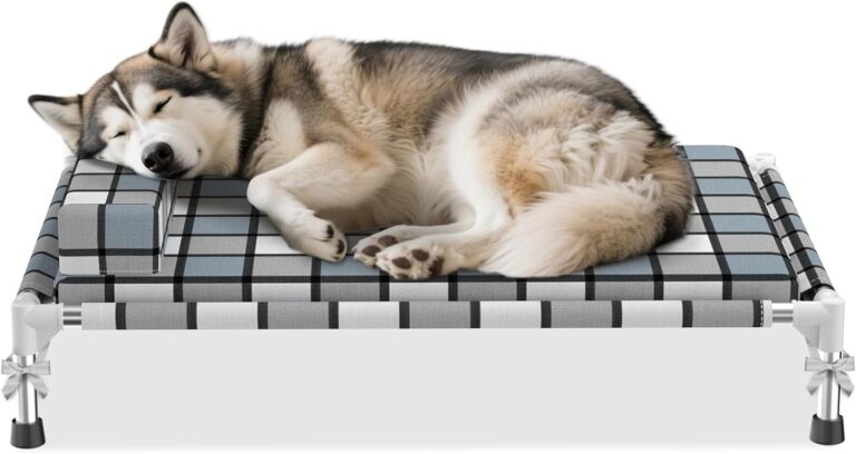 Elevated Raised Lifted Dog Bed Elevated Dogs Bed with Bolster & Cushion Mat Raised Pet Couch Bed with Pillow for Indoor Outdoor