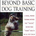 Beyond Basic Dog Training