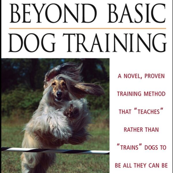 Beyond Basic Dog Training