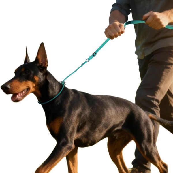 EVERKING Dog Slip Lead Dog Training Leash, No-Pull Slip Leash and Collar,Nylon Material Heavy-Duty and Durable,with Comfortable Padded Handle,Suitable for All Dogs (Green(4.9-5.9FT-Metal Buckle))