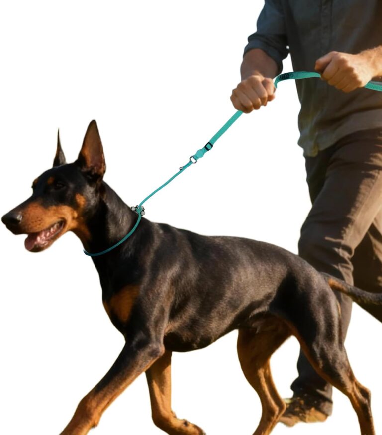 EVERKING Dog Slip Lead Dog Training Leash, No-Pull Slip Leash and Collar,Nylon Material Heavy-Duty and Durable,with Comfortable Padded Handle,Suitable for All Dogs (Green(4.9-5.9FT-Metal Buckle))