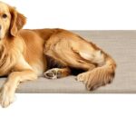 Veehoo Original Elevated Dog Cot Bed - Outdoor Raised Dog Bed, One-Sided Raised Headboard Cooling Pet Sleeping Training Cot, Non-Slip & Breathable, XL