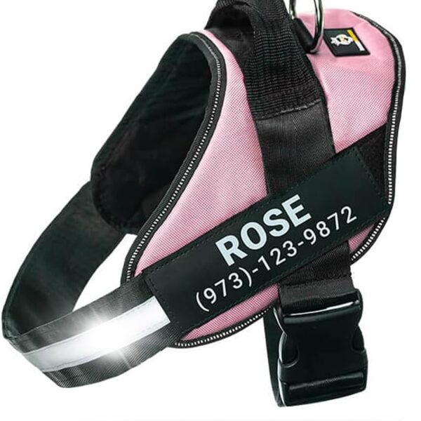 Personalized No-Pull Dog Harness with Name Patch, Adjustable, Reflective, Padded, Heavy Duty Pet Vest to Prevent Tugging, Pulling, or Choking, Training and Walking, Pink, L