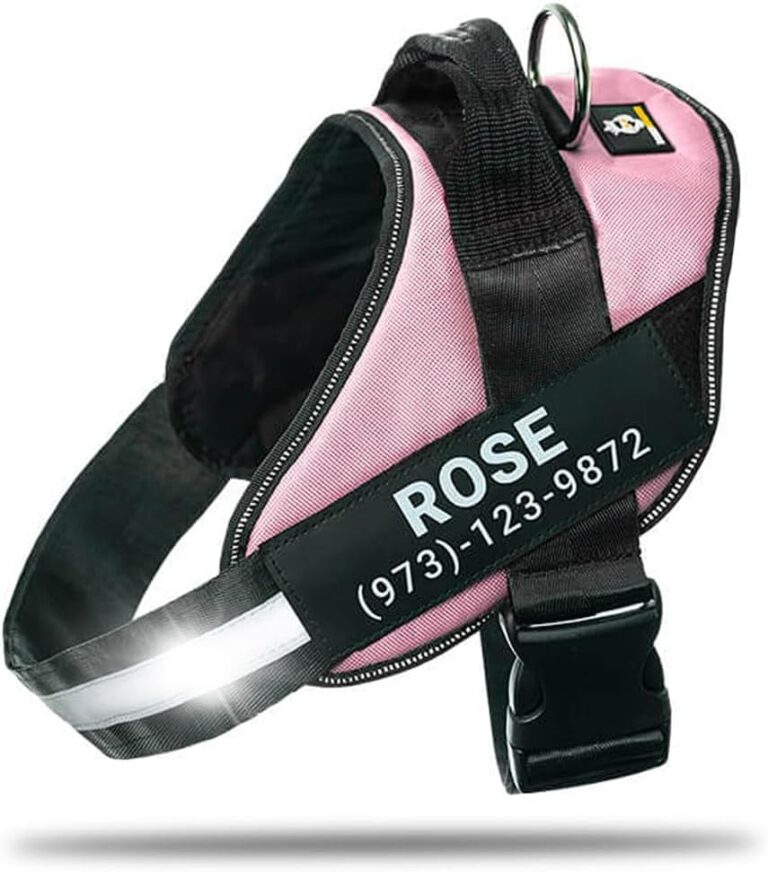 Personalized No-Pull Dog Harness with Name Patch, Adjustable, Reflective, Padded, Heavy Duty Pet Vest to Prevent Tugging, Pulling, or Choking, Training and Walking, Pink, L