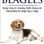 Beagles - The Owner's Guide from Puppy to Old Age - Choosing, Caring for, Grooming, Health, Training and Understanding Your Beagle Dog or Puppy