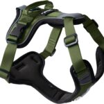 ShawnCo Basecamp Dog Harness, No-Pull Pet Vest with 3 Leash Clips, Padded, Reflective, Lightweight and Adjustable Harness with Handle for Small, Medium and Large Dogs (Olive Green, M)