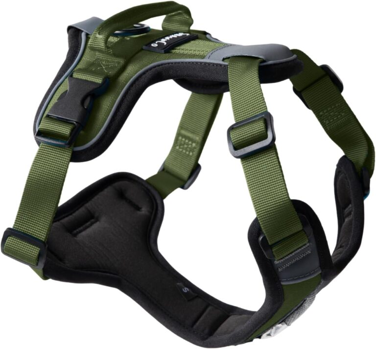 ShawnCo Basecamp Dog Harness, No-Pull Pet Vest with 3 Leash Clips, Padded, Reflective, Lightweight and Adjustable Harness with Handle for Small, Medium and Large Dogs (Olive Green, M)