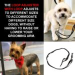 Groomers Helper Loop Adjuster with Loop - Never Raise or Lower Your Grooming Arm Again Black