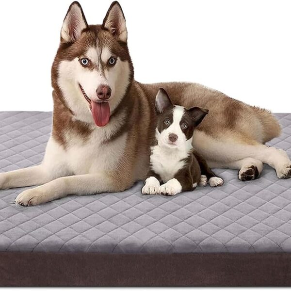 JoicyCo Dog Bed for Extra Large Dogs, Orthopedic Foam Jumbo Dog Bed Mattress, 47 Inches Joint Relief Pet Sleeping Bed, Non Slip Bottom with Removable Washable Cover, Grey