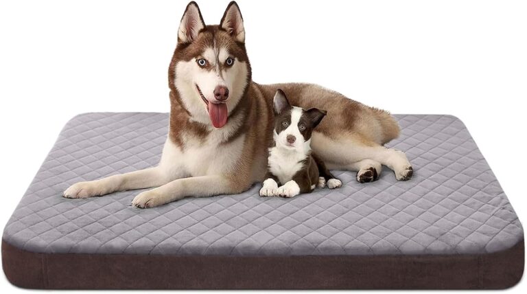 JoicyCo Dog Bed for Extra Large Dogs, Orthopedic Foam Jumbo Dog Bed Mattress, 47 Inches Joint Relief Pet Sleeping Bed, Non Slip Bottom with Removable Washable Cover, Grey
