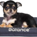 BALANCE Oxford Dog Bed for Small Dogs, Waterproof Dogs Crates Pad Outdoor Dog Crate Mat, Wipe Clean & Easy Rinse, 24 inch