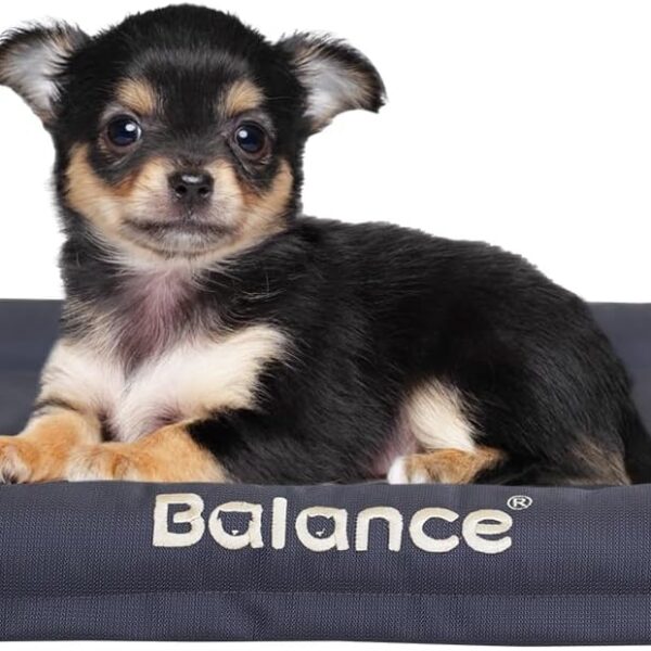 BALANCE Oxford Dog Bed for Small Dogs, Waterproof Dogs Crates Pad Outdoor Dog Crate Mat, Wipe Clean & Easy Rinse, 24 inch