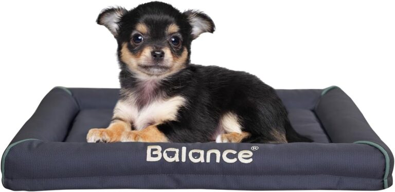 BALANCE Oxford Dog Bed for Small Dogs, Waterproof Dogs Crates Pad Outdoor Dog Crate Mat, Wipe Clean & Easy Rinse, 24 inch