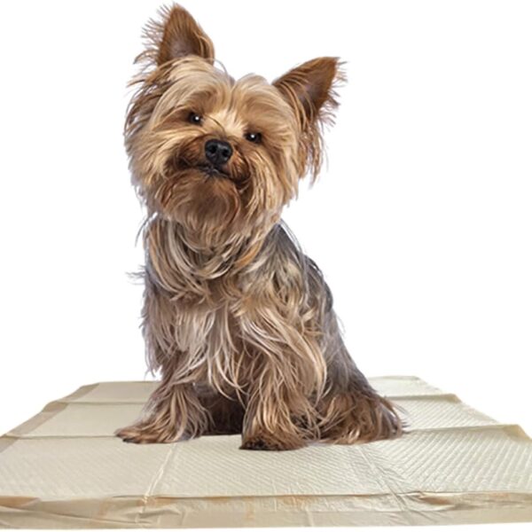 WizSmart Essentials Large Dog Pads, 23.5" x 22", Extra Absorbent Puppy Training Pads, Indoor Potty Pads, Leakproof Gel Pads for Small Dogs, Crate, House, Travel, Eco-Friendly, Non-Slip - 10 Count