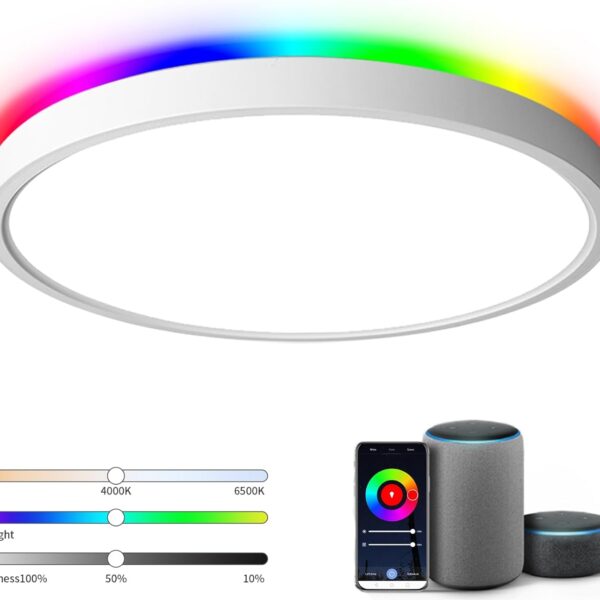 TALOYA 18 Inch Flush Mount Light Fixture Led,Compatible with Alexa Google Assistant Smart Life App,Sleek Round Ceiling Fixture,36+4W Main Light and RGB Night Light Adjustable,Enabled by 2.4G Wi-Fi