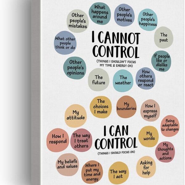 Mental Health Wall Art Therapy Office Decor Things I Can Control Framed Canvas Print School Counselor Painting Picture Wall & Tabletop Decoration 12"x15"