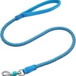 Mycicy 2/3/4/6/10 Foot Reflective Dog Leash Strong Nylon Rope Braided Heavy Duty for Large and Medium Small Dogs Walking Training Leads (Sky Blue, 3ft * 1/2")