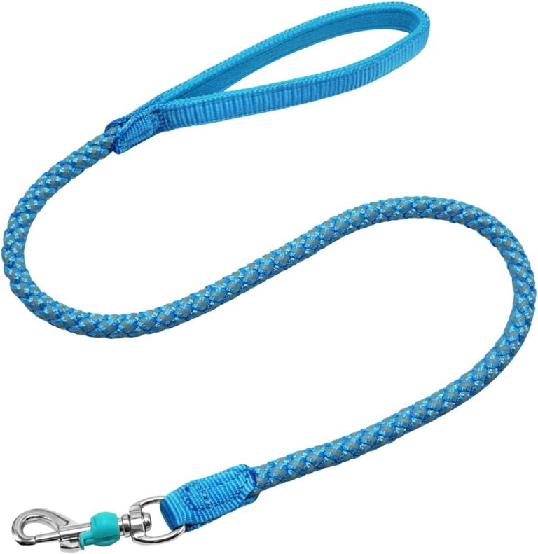 Mycicy 2/3/4/6/10 Foot Reflective Dog Leash Strong Nylon Rope Braided Heavy Duty for Large and Medium Small Dogs Walking Training Leads (Sky Blue, 3ft * 1/2")