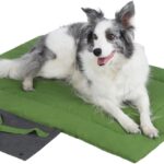 Outdoor Foldable Dog Mat Durable Teflon-Coated Oxford Material Waterproof Thin Dog pad Travel-Friendly Machine Washable Design for Camping/Car (Green, Small (27.6 * 19.7 * 1.57 in))