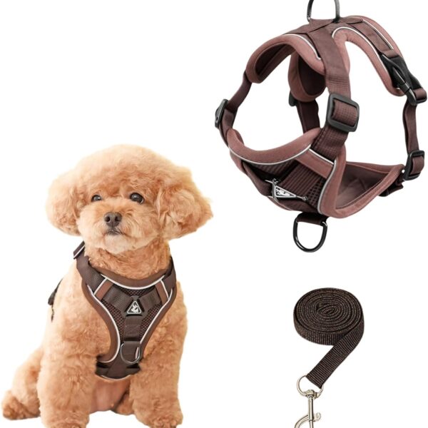 SOLMOONY Small Dog Harness,Soft Mesh Puppy Harness and Leash Set,No Escape Cat Harnesses for Training Walking,Reflective Adjustable Puppy Vest for Small Medium Dogs, Cats (Brown, M)