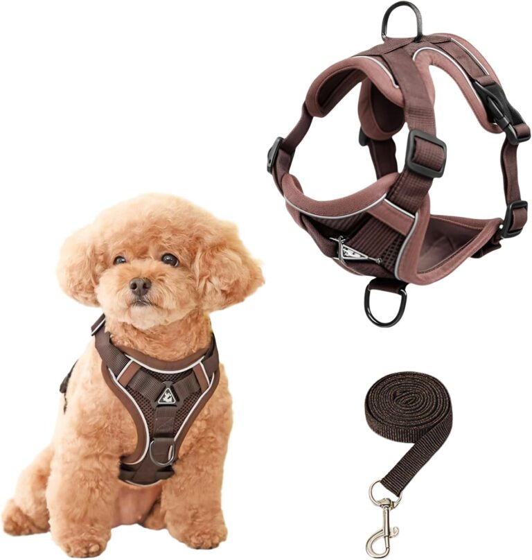 SOLMOONY Small Dog Harness,Soft Mesh Puppy Harness and Leash Set,No Escape Cat Harnesses for Training Walking,Reflective Adjustable Puppy Vest for Small Medium Dogs, Cats (Brown, M)