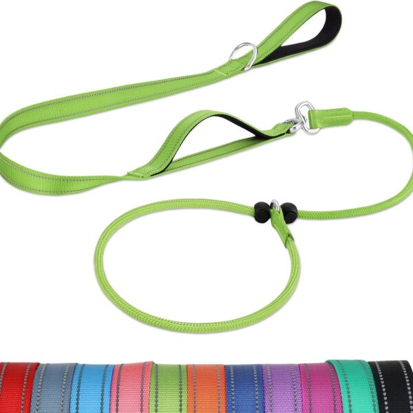 Joytale Tangle-Free Slip Leads for Dogs, 6 FT Slip Leash with Padded Double Handle, Reflective Nylon Training Leash for Small Medium Dogs 15-40 Lbs, Green