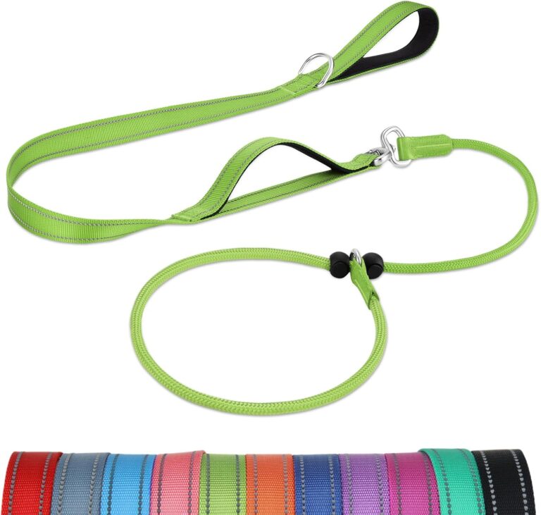 Joytale Tangle-Free Slip Leads for Dogs, 6 FT Slip Leash with Padded Double Handle, Reflective Nylon Training Leash for Small Medium Dogs 15-40 Lbs, Green