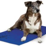 K&H Pet Products Coolin' Pet Pad Dog Mat, Portable Dog Cooling Mat for Travel or in Home, Perfect for Carriers, Crates, Outdoor Houses, Yards, Porches, Pet Beds & More - E-Large 38 X 27in Chill Blue