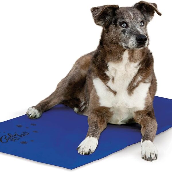 K&H Pet Products Coolin' Pet Pad Dog Mat, Portable Dog Cooling Mat for Travel or in Home, Perfect for Carriers, Crates, Outdoor Houses, Yards, Porches, Pet Beds & More - E-Large 38 X 27in Chill Blue