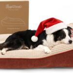 Pawccoli Dog Beds Large Sized Dog - Comfy Flat Pet Beds with Removable Washable Cover, Orthopedic Foam Puppy Mat with Pillow Suitable for Pet Up to 65 lbs(36''24''5'')