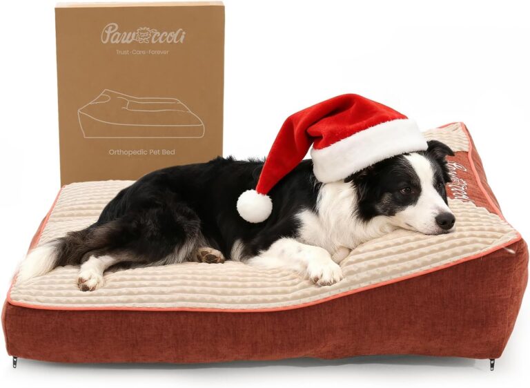 Pawccoli Dog Beds Large Sized Dog - Comfy Flat Pet Beds with Removable Washable Cover, Orthopedic Foam Puppy Mat with Pillow Suitable for Pet Up to 65 lbs(36''24''5'')