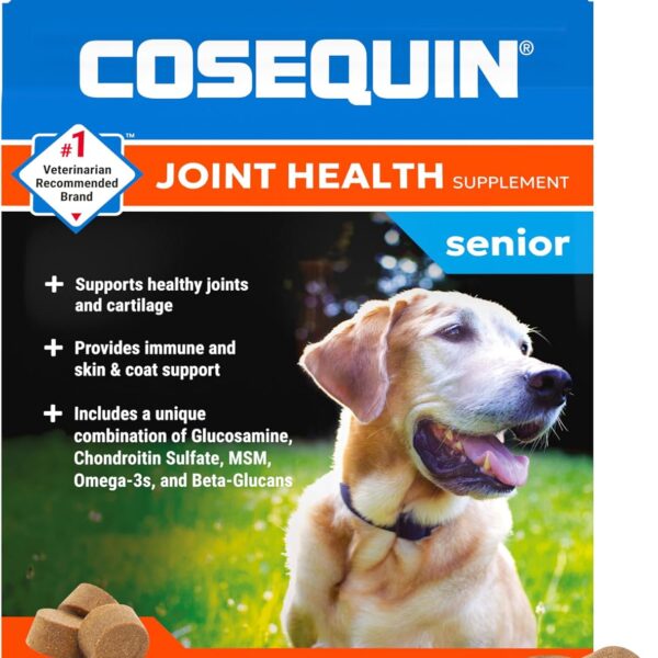 Nutramax Cosequin for Senior Dogs Joint Health Supplement, Contains Glucosamine for Dogs, Chondroitin, MSM, Omega-3s and Beta-Glucan, Supports Joint, Skin and Coat, Immune Health, Soft Chews, 60 Count