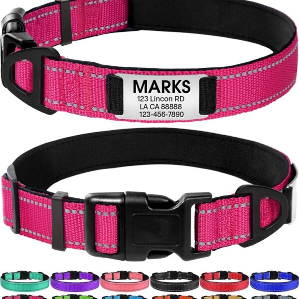 Joytale Personalized Dog Collars, Reflective Nylon Collar with Engraved Name Plate, Customized for Large Dogs, Hotpink, L