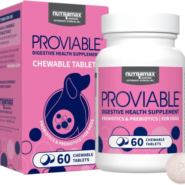 Nutramax Proviable Probiotics for Dogs, Daily Digestive Health Supplement with Multiple Strains of Bacteria, Dog Probiotics Plus Prebiotics, 60 Chewable Tablets
