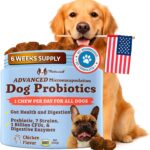 Natural Dog Company Gut Health & Canine Specific Probiotics Chews, 1 Daily Chew for All Dogs, Prebiotics & Digestive Enzymes for Digestion, Gas, Loose Stool, Immune System & Bowel Support