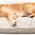 Memory Foam Dog Sofa Bed for Tough Ripstop Calming Round Den Shape, Scratch Resistant, Machine Washable(Beige)