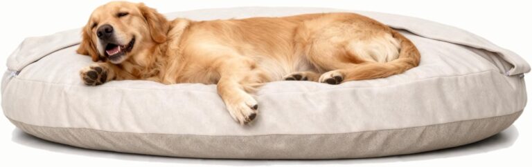 Memory Foam Dog Sofa Bed for Tough Ripstop Calming Round Den Shape, Scratch Resistant, Machine Washable(Beige)