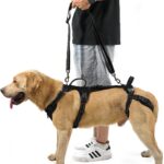 COODEO Mobility Dog Lift Harness, Support Sling & Walking Sling for Dogs, Pet Rear Leg Rehabilitation Support Vest, Dog Carrier for Senior Dogs with Joint Injuries, Arthritis, Up Stair (Black, L)