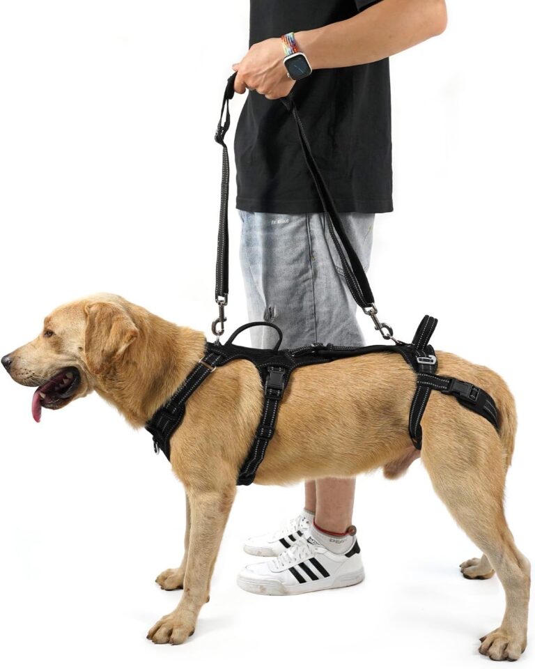 COODEO Mobility Dog Lift Harness, Support Sling & Walking Sling for Dogs, Pet Rear Leg Rehabilitation Support Vest, Dog Carrier for Senior Dogs with Joint Injuries, Arthritis, Up Stair (Black, L)
