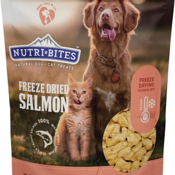 Nutri Bites Freeze Dried Salmon Dog & Cat Treats | Healthy Pet Training Treats or Food Topper | All Natural, 1 Single Animal Protein, High Protein | Premium Bulk Value Pack, 14 oz
