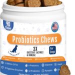 Probiotics for Dogs Dog Probiotic Chews - 6 Digestive Enzymes & 4 Prebiotics, Gut Skin & Coat Immune Support with Pumpkin, Salmon Oil & Vitamins - Dog Probiotic Supplements