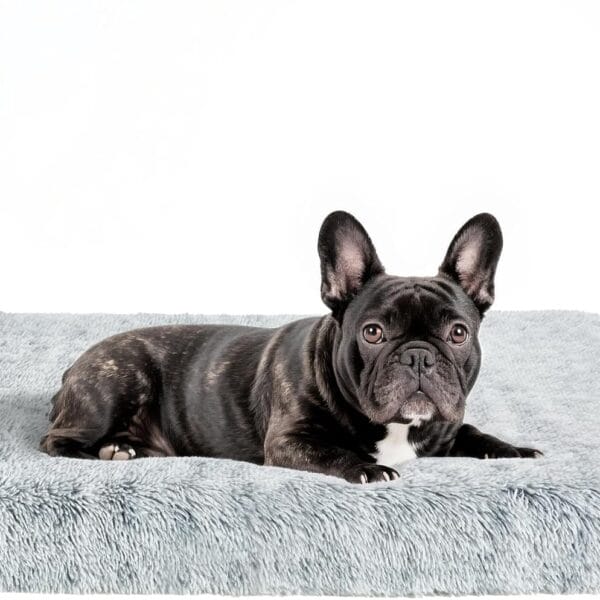 Fluffy Orthopedic Dog Beds for Puppy/Cats with Washable Removable Cover Dog Crate Bed Egg Crate Foam Support Plush Pet Pad Mat with Anti-Slip Bottom(Grey,24 * 16)