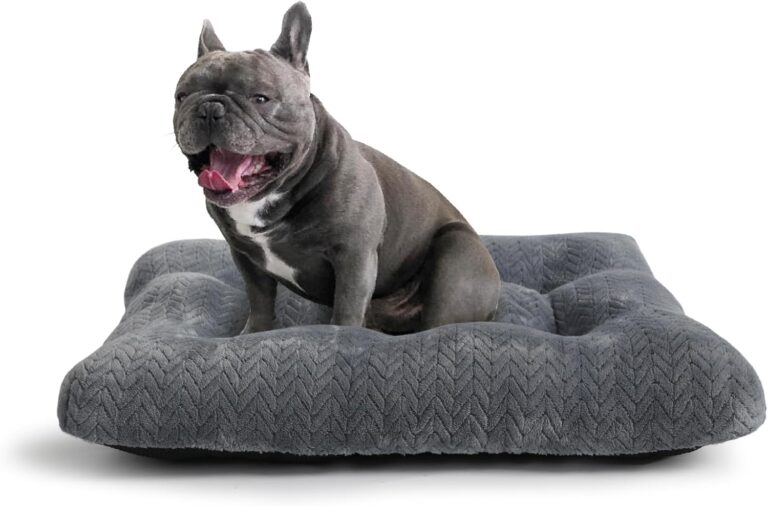 Small Dog Bed for Crate Washable with Anti-Slip Crate Pad Soft Fluffy Kennel Pad for Dog Cage 24 inch Puppy Bed fit Up to 25 lbs Pets Comfy Sleeping Pillow,24 x 18 Dark Gray