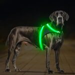 ChalkLit Light Up Dog Harness, No Pull Led Dog Harness Glow-in-The-Dark for Night Walking, USB Rechargeable Lighted Safety Vest for Medium Large Dogs, Adjustable Soft Mesh Fully Illuminated(Green, XL)